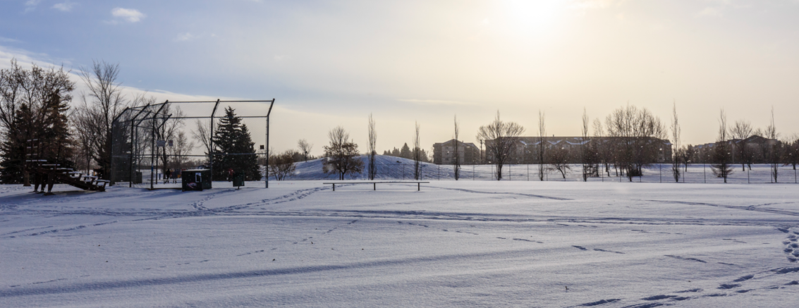 Winter Maintenance for School Sports Pitches header image