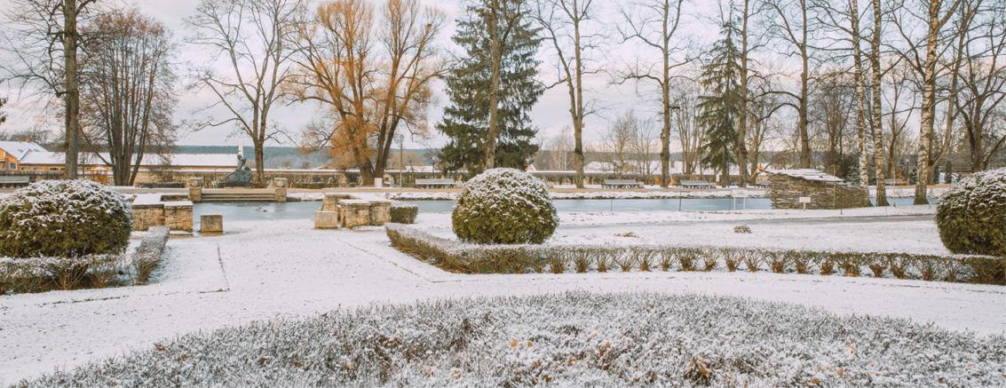 The Essential Landscaping Christmas Checklist header image