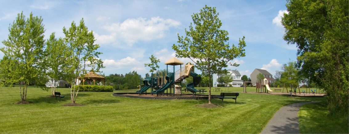 Benefits of Public Park Maintenance header image