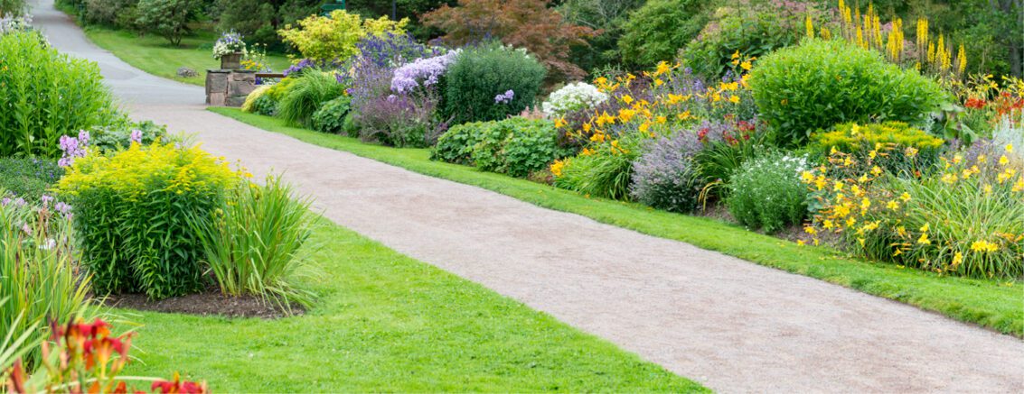 Seasonal Spotlight: Summer Landscaping header image