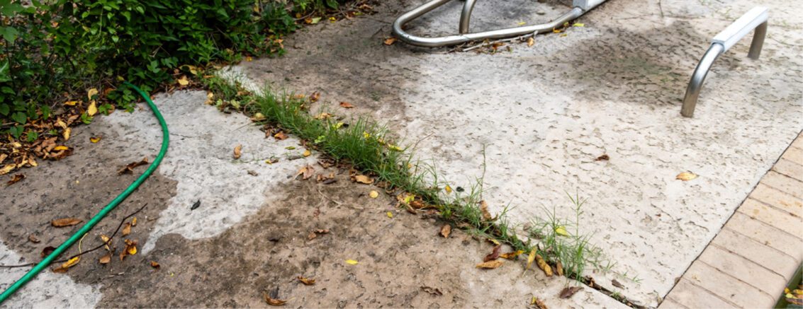 The Hidden Costs of Neglecting Grounds Maintenance header image